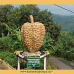 kulinerkediriraya.com